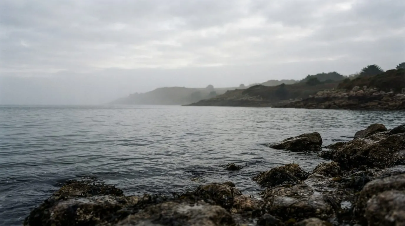 Le bras de mer vu au ras de l'eau depuis une côte de granite, la côte opposée basse et floue dans la brume de fin d'après-midi, aucune embarcation, aucune construction