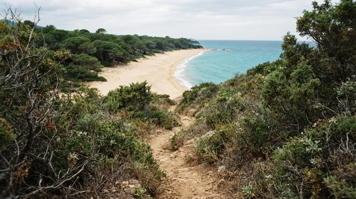 Un sentier de terre descend à travers le maquis bas vers une longue plage de sable clair bordée de pins, sans aucune construction